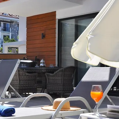 Villa Hisar Prestige D