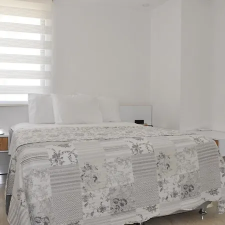 Hisar Prestige D Villa