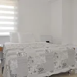 Hisar Prestige D فيلة